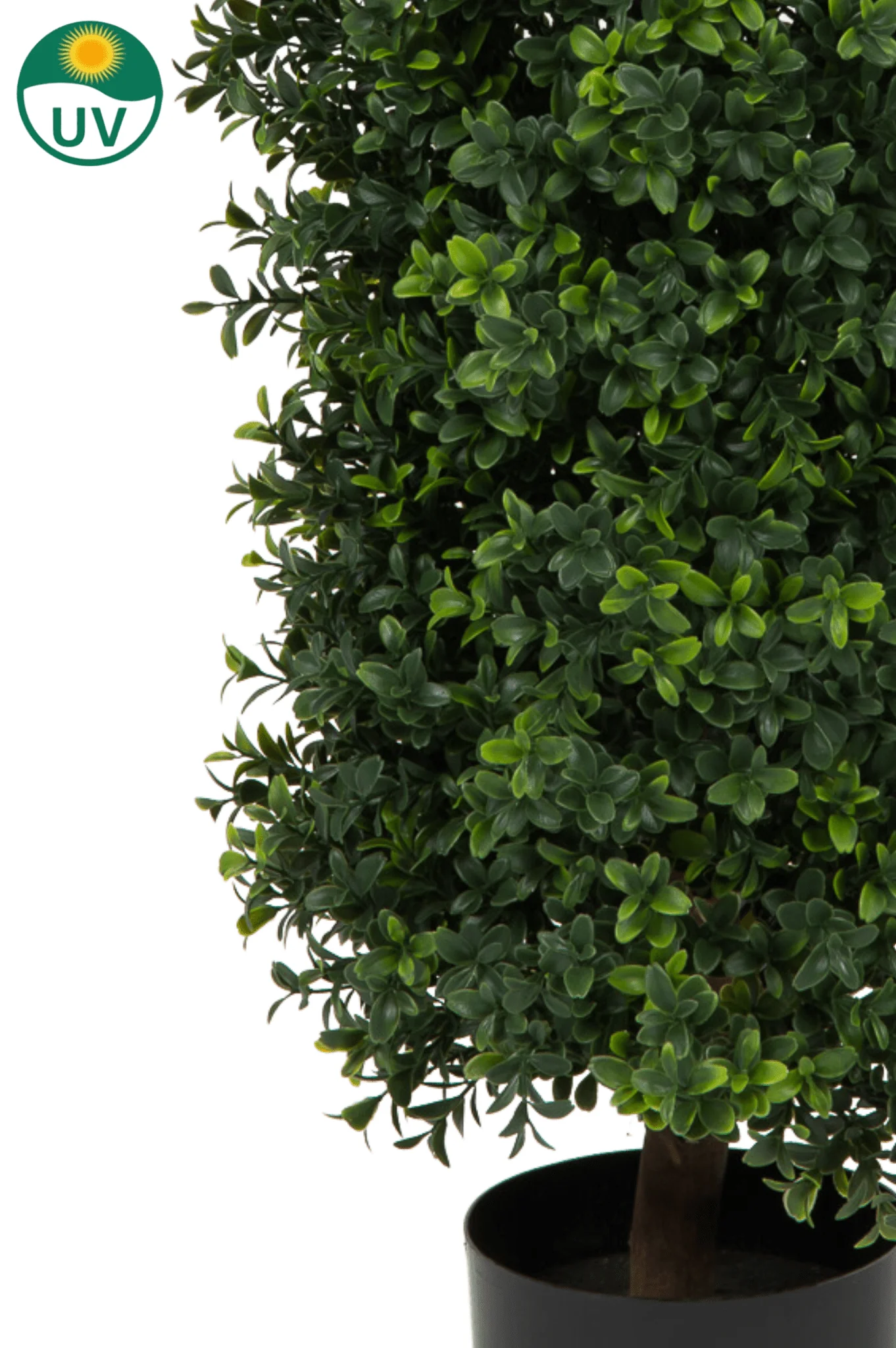 Buchsbaum künstliche Pyramide römischer Stil UV 90cm - Image 3