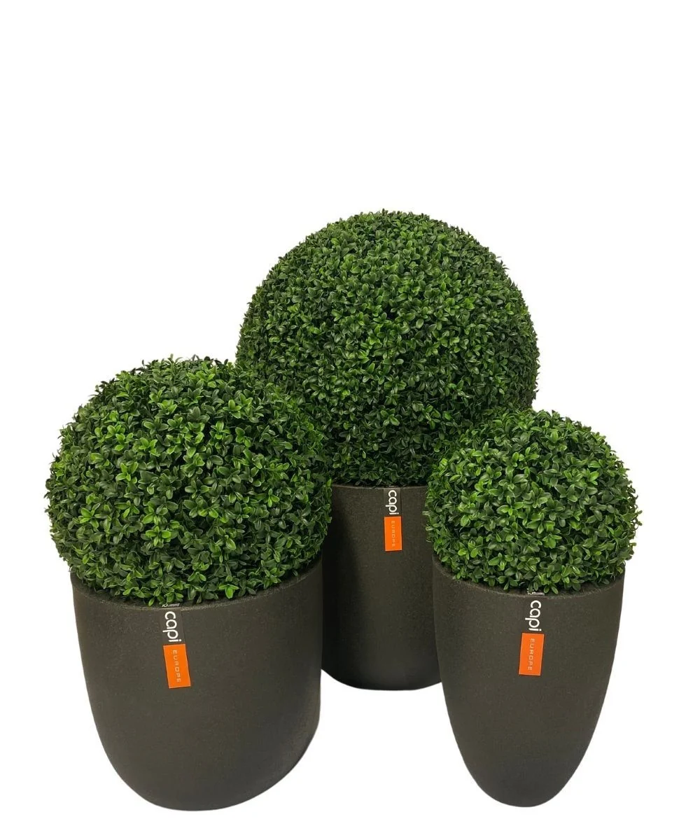 Künstliche Pflanze Buxus Römischer Stil UV D40cm - Image 3