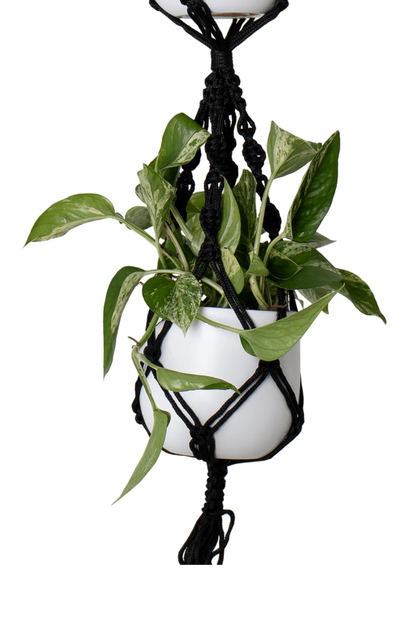 Hängeseil Makramee Doppelspiralknoten Schwarz 120cm - Image 3