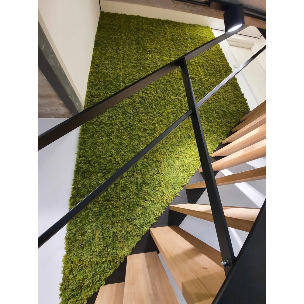 Kunstpflanzen Wand Rentier Moos 50x50 cm UV - Image 5