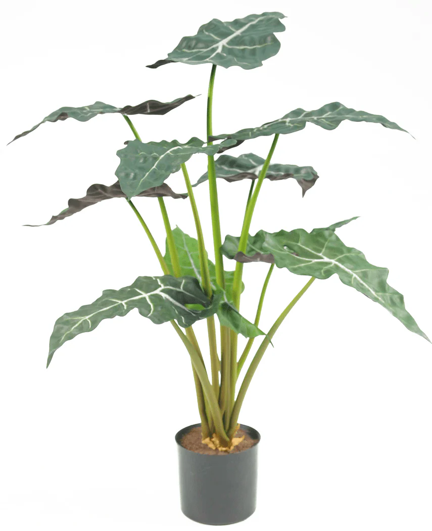 Künstliche Pflanze Alocasia 67 cm - Image 3