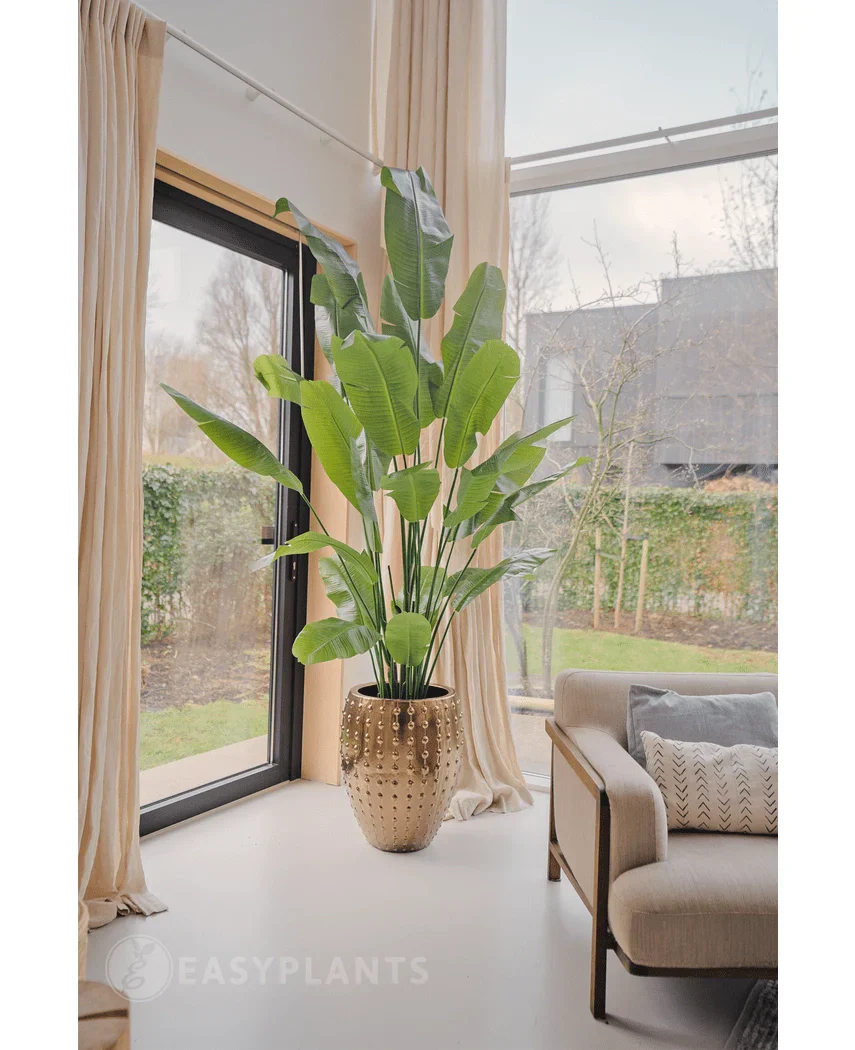 Kunstpflanze Strelitzia Nicolai Deluxe 215 cm - Image 3