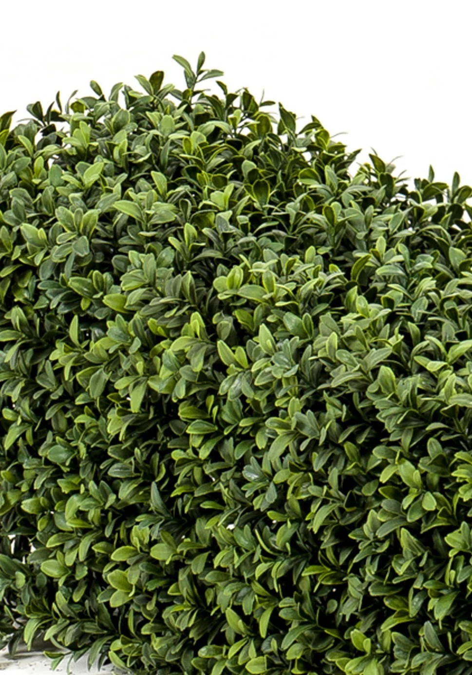 Künstliche Buchsbaumhecke 70x20x25 cm UV - Image 3