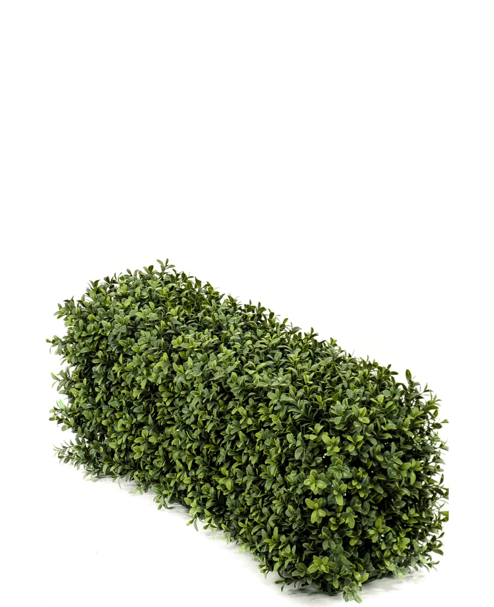 Künstliche Buchsbaumhecke 70x20x25 cm UV - Image 6