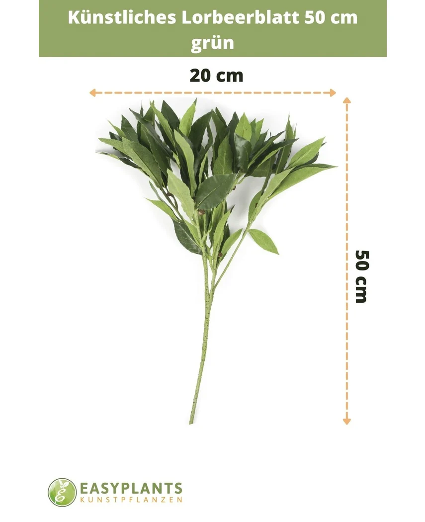 Künstliches Blatt Lorbeer 50 cm grün - Image 3