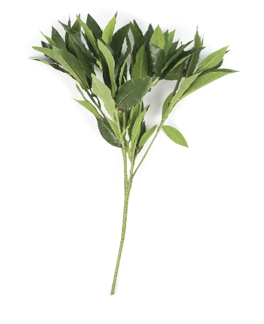 Künstliches Blatt Lorbeer 50 cm grün - Image 4
