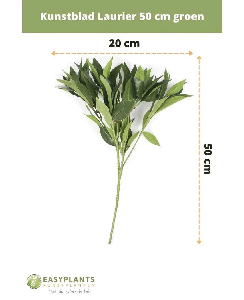 Künstliches Blatt Lorbeer 50 cm grün - Image 6