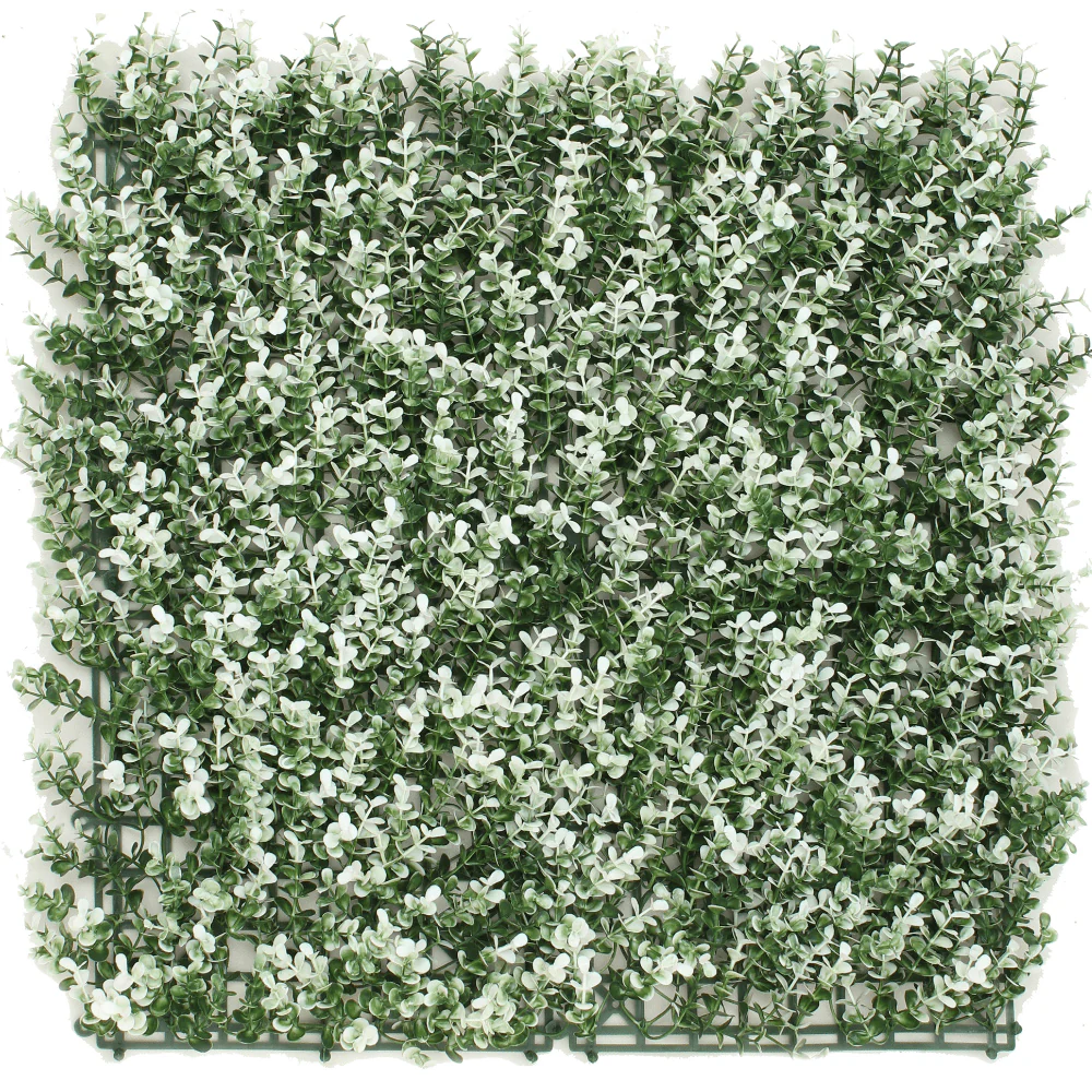 Kunstpflanzen Wand Buxus weiß 50x50 cm UV - Image 3