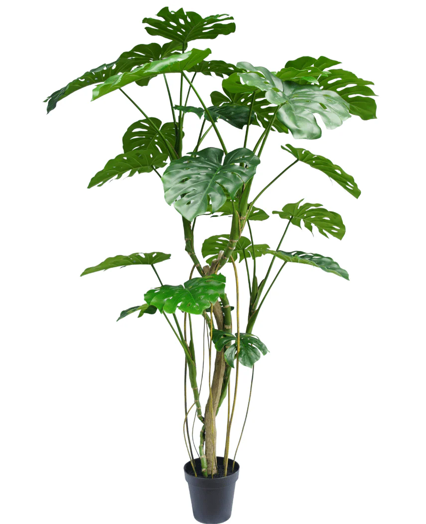 Künstliche Pflanze Monstera 210 cm - Image 3