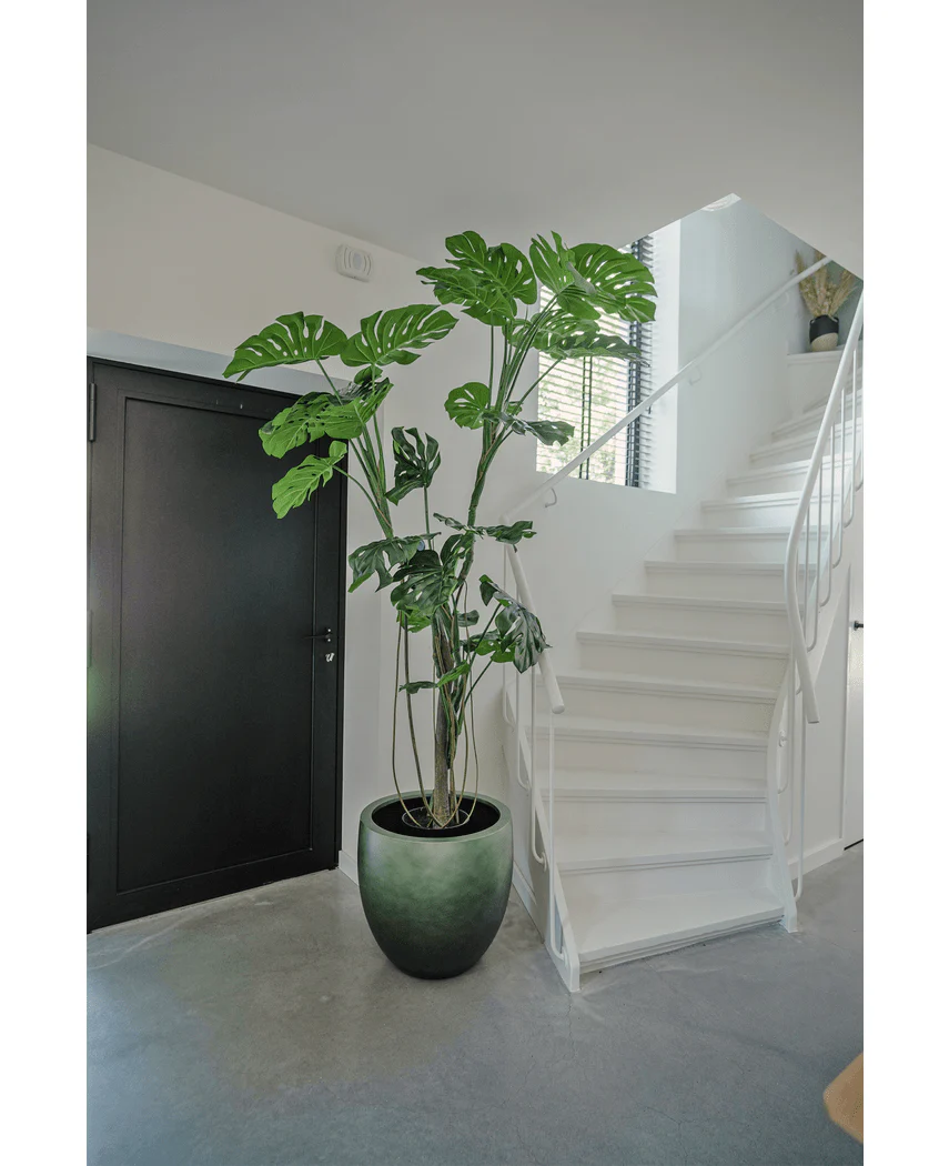 Künstliche Pflanze Monstera 210 cm - Image 4