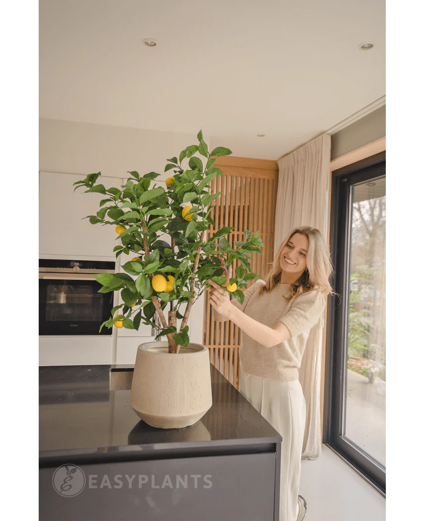 Künstlicher Zitronenbaum 90 cm - Image 6